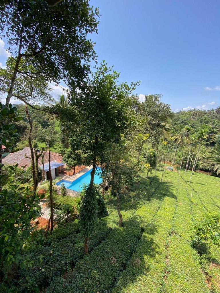 Letstay Vythiri Hill Palace エクステリア 写真