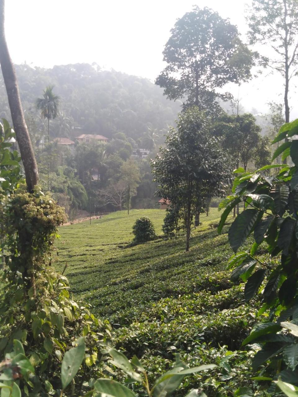 Letstay Vythiri Hill Palace エクステリア 写真