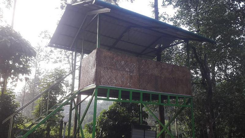 Letstay Vythiri Hill Palace エクステリア 写真